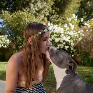 Profielafbeelding Staffie