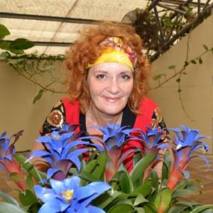 Profielafbeelding GekkeBep